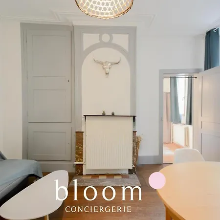 Apartment Vieille Place St Epvre Le 2 Des Dames Nancy
