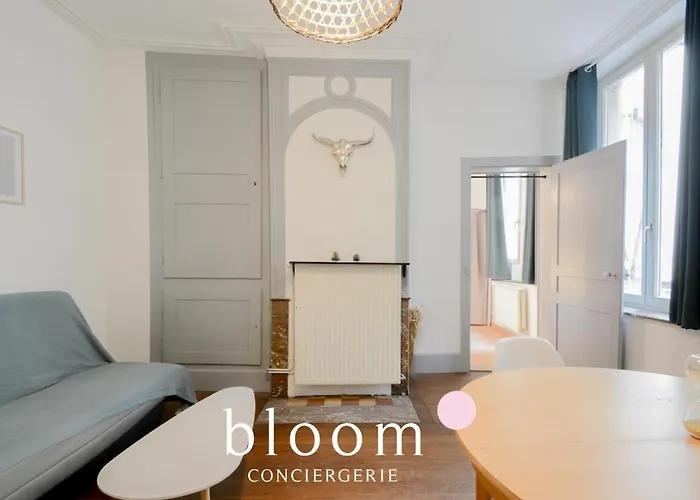 Apartamento Vieille Place St Epvre Le 2 Des Dames Nancy